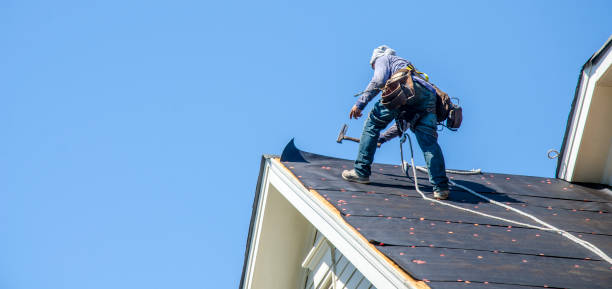 Best Roof Gutter Cleaning  in Walnut Grove, GA